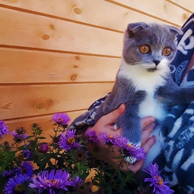 ���� ��������