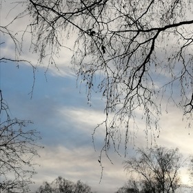 ������� ��� ������� ����������!