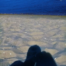 ���� ������